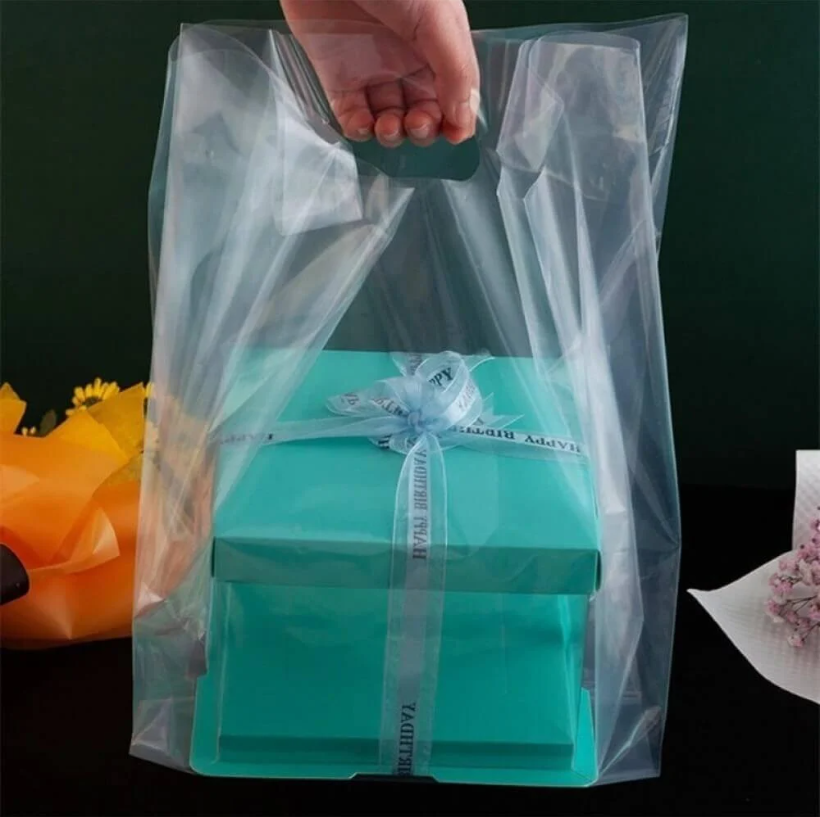Transparent Handle Bag For Shopping
